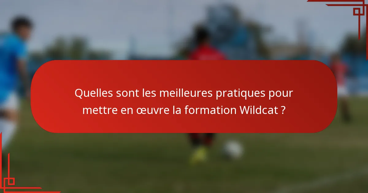 Quelles sont les meilleures pratiques pour mettre en œuvre la formation Wildcat ?