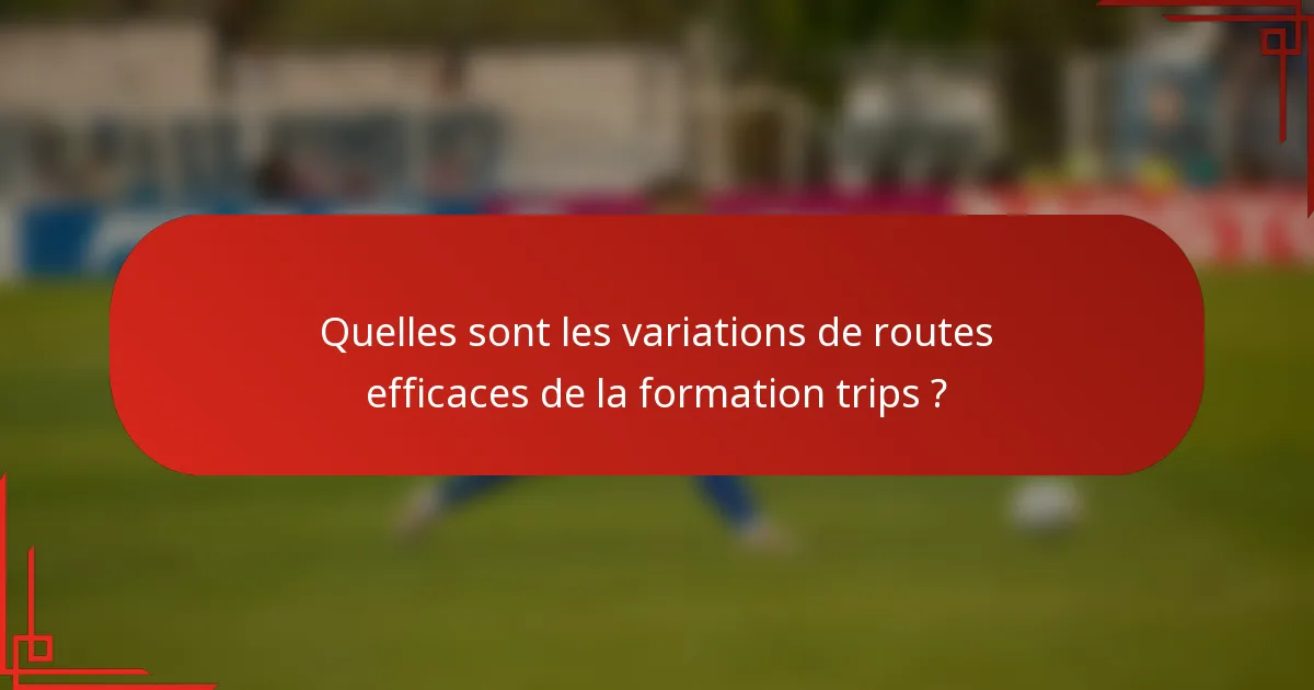 Quelles sont les variations de routes efficaces de la formation trips ?