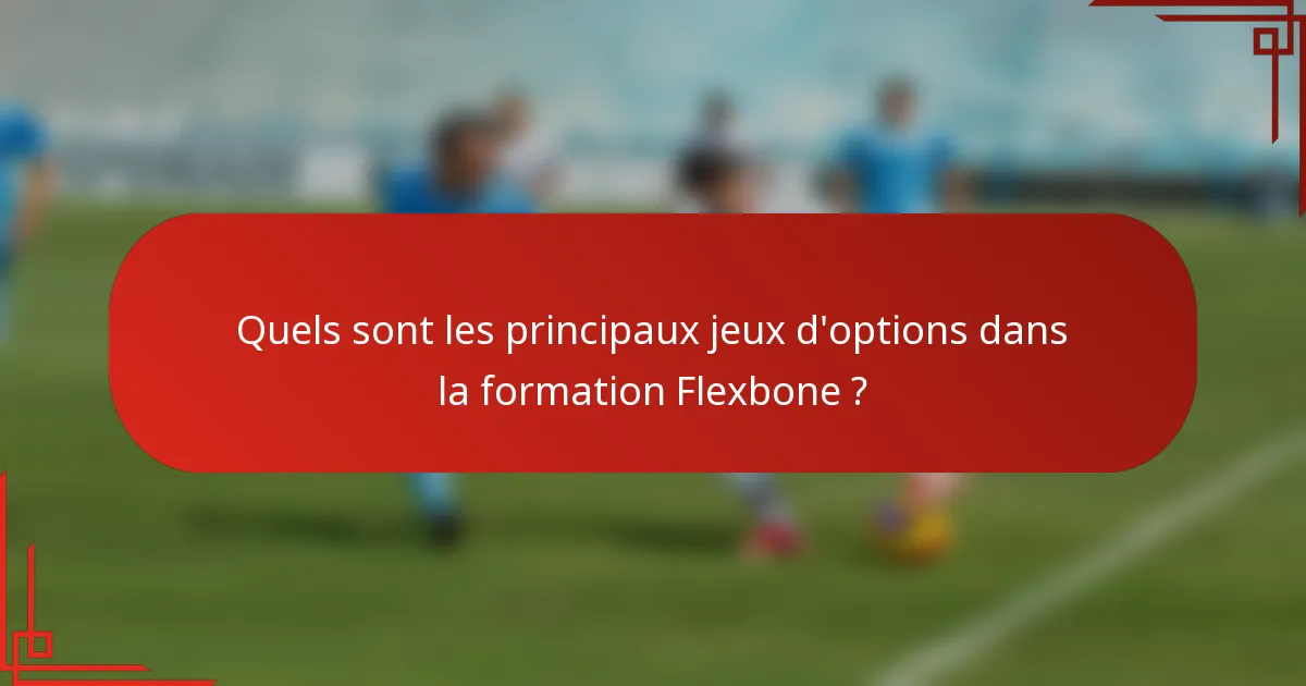 Quels sont les principaux jeux d'options dans la formation Flexbone ?